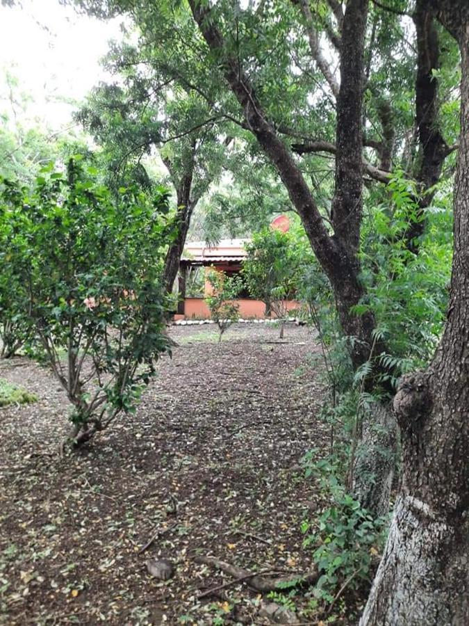 Nasu Lodge La Cruz  Ngoại thất bức ảnh