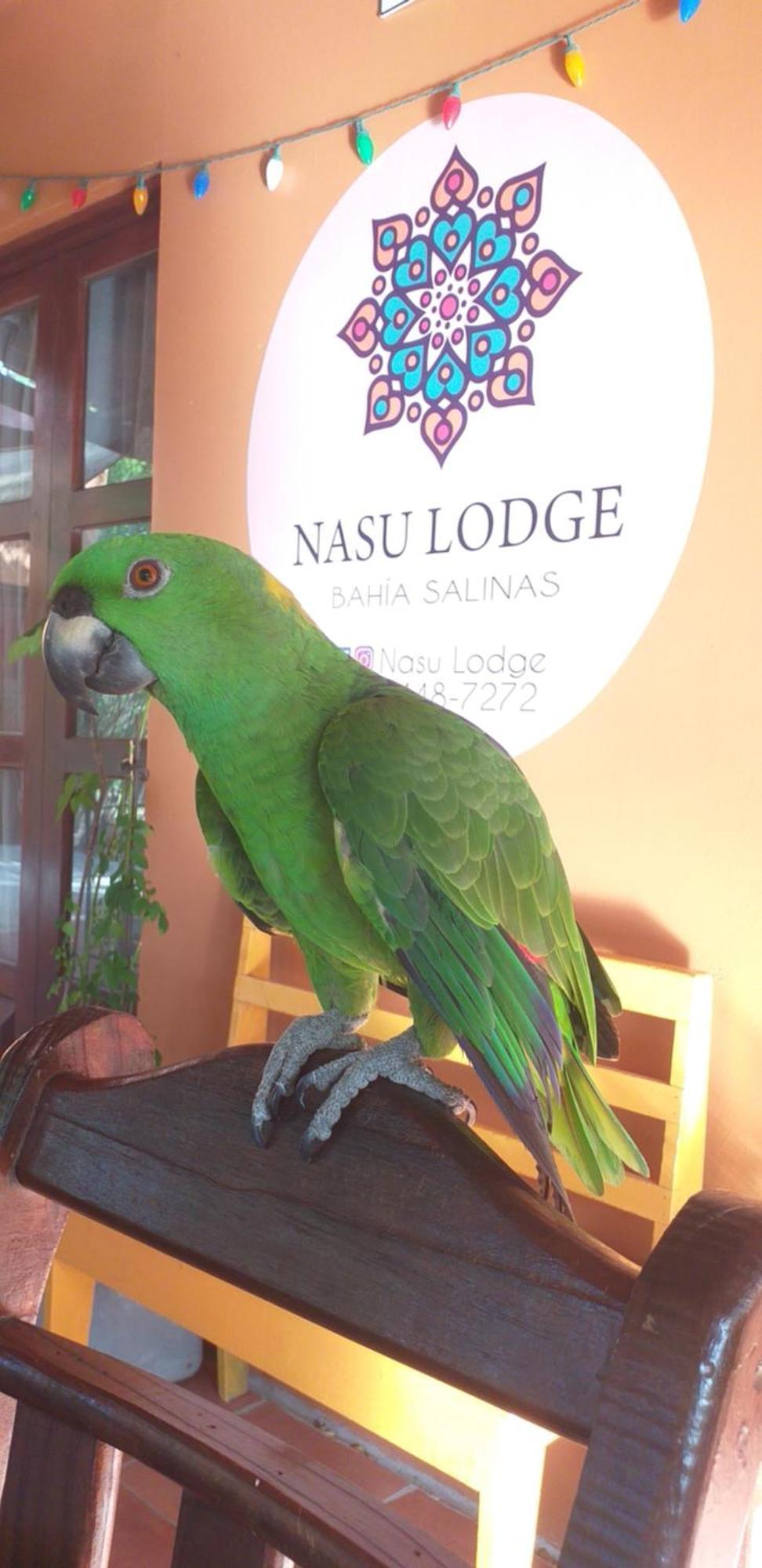 Nasu Lodge La Cruz  Ngoại thất bức ảnh